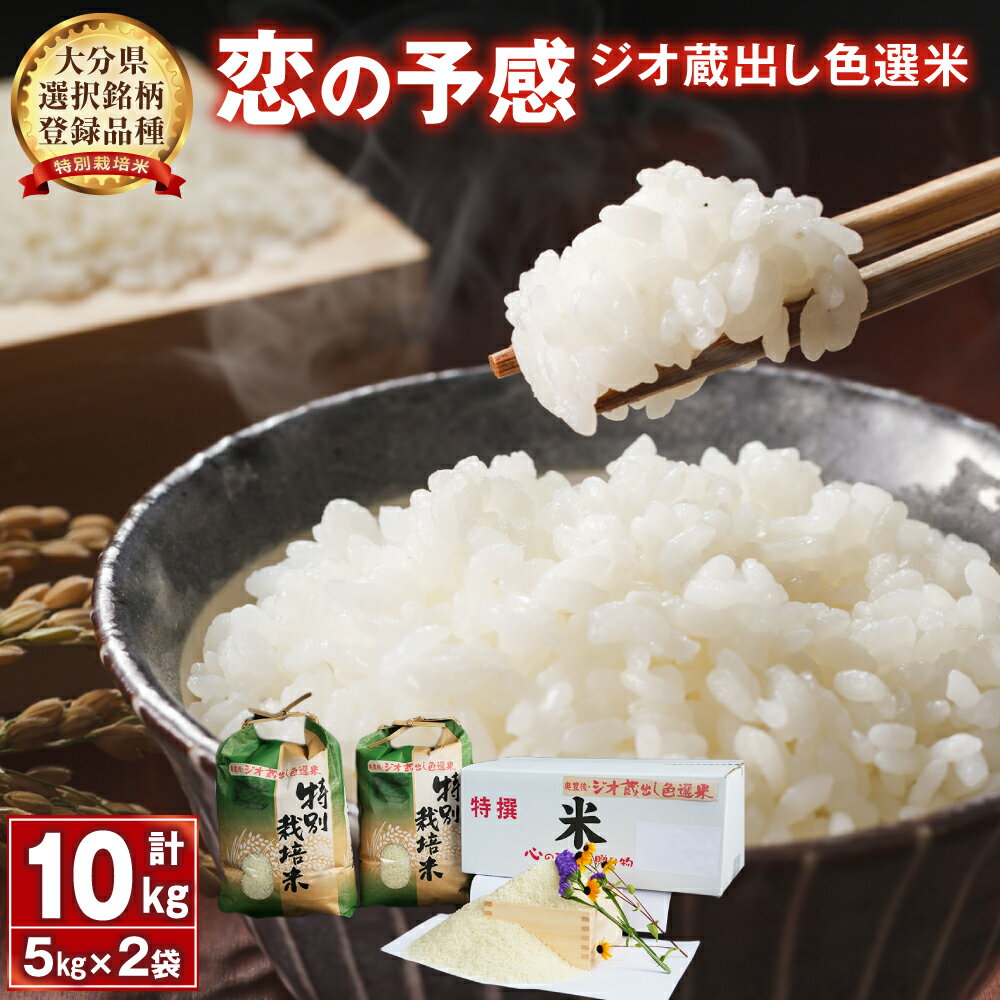【ふるさと納税】ジオ蔵出し色選米 特別栽培米 計10kg (5kg×2袋) 令和7年産 「恋の予感」 大分県選択銘柄登録品種 ブランド米 ジオパーク お米 精米 白米 弁当 ごはん ご飯 コメ 和食 おにぎり 国産 九州産 大分県 豊後大野市産 もちもち 送料無料