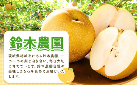 【2026年先行予約】とっくんちの梨 豊水 約3kg 鈴木農園《8月下旬-9月中旬頃出荷》茨城県 結城市 数量限定 果物 フルーツ 甘み ジューシー 豊か 芳香 しゃりっ 爽やかな 季節【配送不可地域