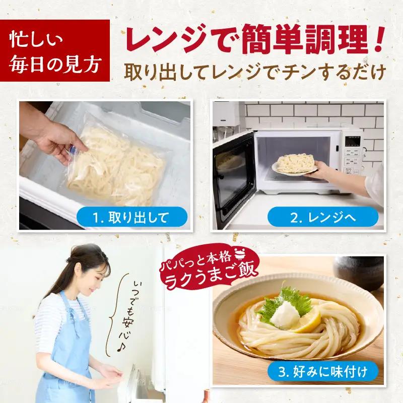 うどん【3回定期便隔月】冷凍うどん 5玉（出汁付）