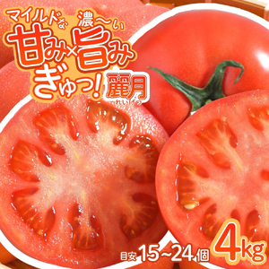 デリシャスファームのトマト(麗月)4キロ箱 ※沖縄・離島配送不可 / とまと 野菜 トマト【delf012】