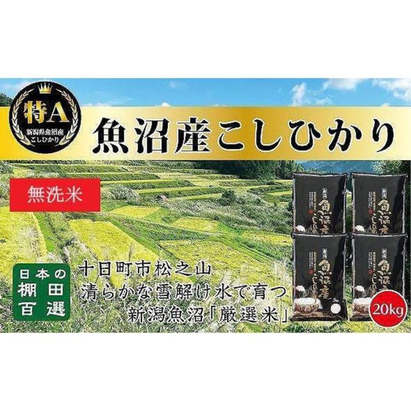 【ふるさと納税】【令和7年産新米予約】【食味鑑定士厳選】日本棚田百選のお米 無洗米 天空の里 魚沼産 こしひかり 20kg(5kg×4)　お届け：令和7年10月下旬（10月21日～）