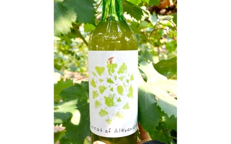 マスカット・オブ・アレキサンドリアジュース 720g マスカット 有機栽培