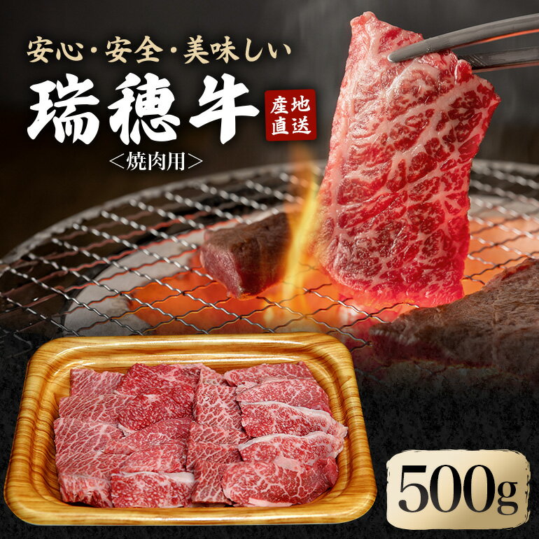 【ふるさと納税】瑞穂牛焼肉セット 約500g 牛肉 やきにく バラ 肩ロース 肩 肩バラ トモサンカク イチボ ブランド牛 冷凍配送 茨城県 お中元 焼肉の日 敬老の日 瑞穂牛 焼肉 10種 盛り合わせ 食べ比べ 国産 肉 BBQ セット 送料無料 【（株）フロンティアロード】 【ho0858】