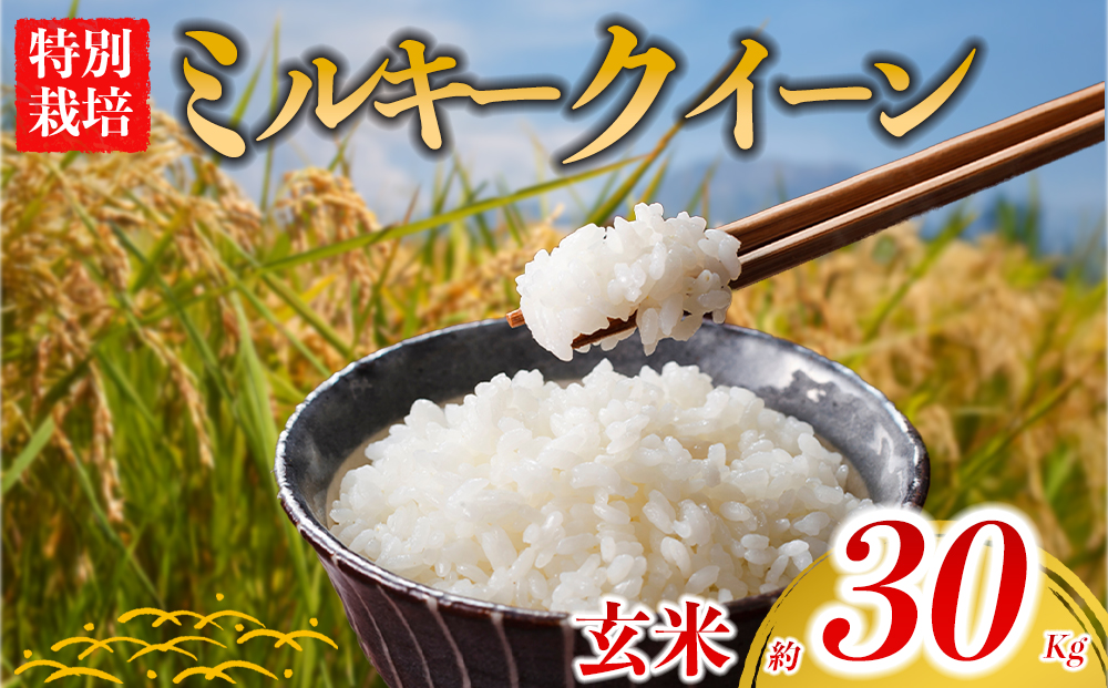 【選べる品種】 特別栽培米 ミルキークイーン 約30kg×1（玄米）阿蘇アグロスタイル R7年産 精米 米 ごはん 人気 美味しい みるきーくいーん 甘味 もちもち なめらか 減農薬 湧水 熊本県 阿