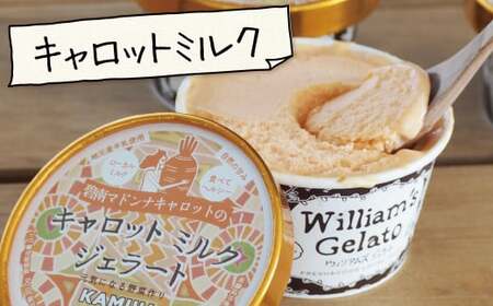 【4種のフレーバーを食べ比べ】ジェラート10個セット 映えるデザインが可愛いと話題に!! アイス スイーツ デザート 洋菓子 可愛い 詰め合わせ　H105-099