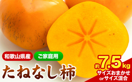 先行予約 【秋の味覚】 和歌山 産 の たねなし 柿  ご家庭用 約 7.5kg 厳選館 《2025年9月上旬-11月中旬頃出荷》 和歌山県 日高川町 柿 カキ かき ジューシー フルーツ たねなし