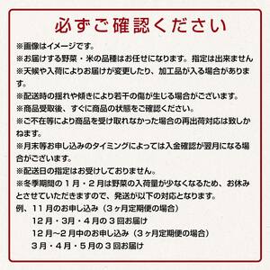 津軽のお米 5kg＆季節の野菜詰合せ 《定期便》【3ヶ月連続】 【中泊町特産物直売所ピュア】旬の野菜 旬野菜 旬 新鮮 食品  野菜 美味しい 甘い おいしい サラダ 精米 たっぷり 中泊町 青森 F