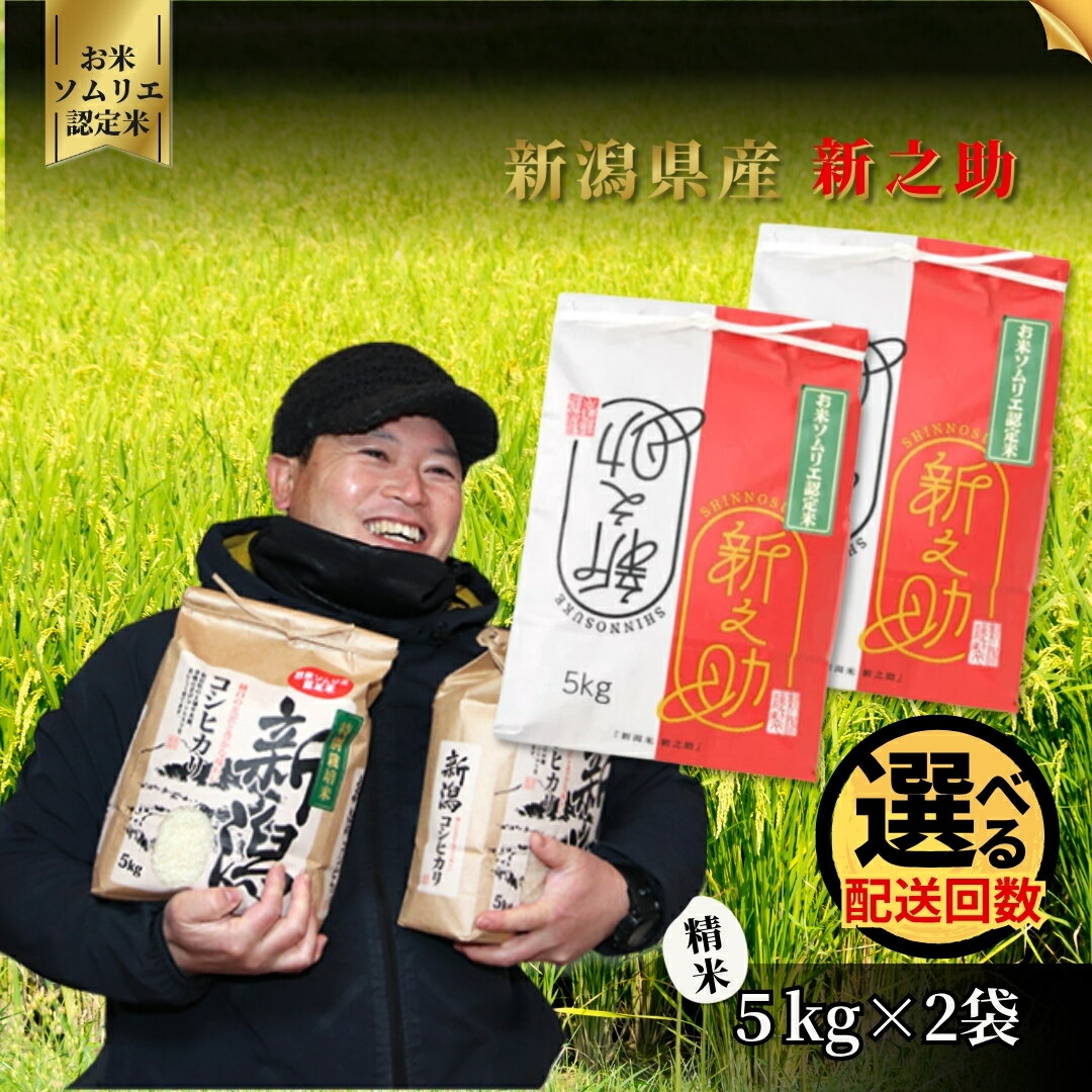 【ふるさと納税】 令和7年産【お米ソムリエのお米】新之助 精米 10kg（5kg×2袋）1回 or 6回 新潟県 五泉市 エバーグリーン農場