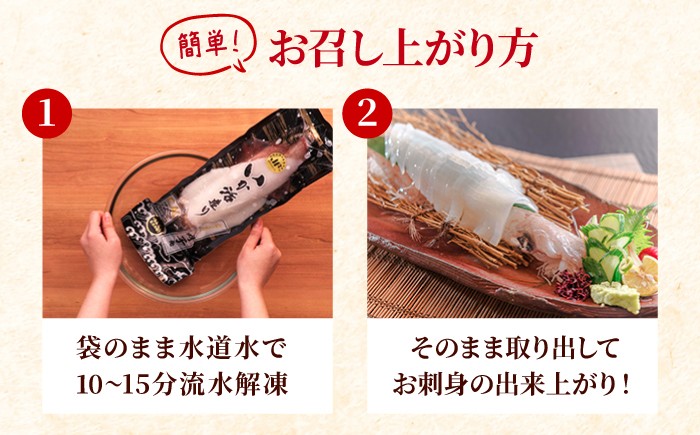 剣先イカ 姿造りを呼子CASセンターから直送！
