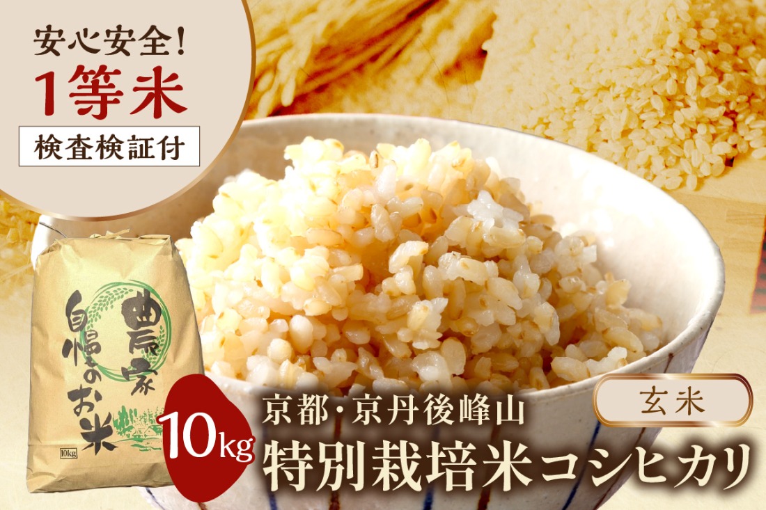 2025年産 京都・京丹後峰山 特別栽培米コシヒカリ 10kg 【玄米】 1等米 検査済証付 米 ふるさと納税 コシヒカリ ふるさと納税 白米 ふるさと納税 お米 ご飯 ごはん おいしい コメ コシヒカリ　MF00051