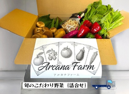 【3回定期便 野菜】 こだわりの新鮮野菜セット(8~11品目)