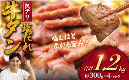 訳アリ 牛タン 計 1.2kg 塩ダレ ( 約300g × 4 パック )  数量限定 牛タン 牛たん ぎゅうたん 人気 たん 牛タン 牛たん 牛肉 塩 たれ タレ 味付 gyutan  訳有 訳有り 塩だれ牛タン 牛タン切り落とし わけあり 訳あり品 ワケアリ 不揃い 肉 お肉 簡単調理 BBQ おかず 冷凍 焼き肉 10000円 タカギフーズ 神奈川 湘南 藤沢市