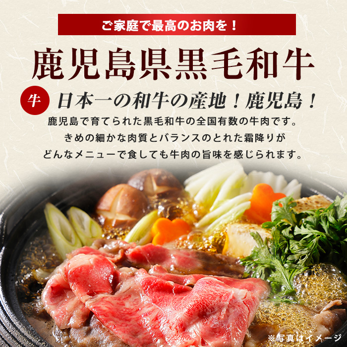 ＜定期便全6回＞黒毛和牛＆豚肉定期便 総重量9.2kg超 赤身 モモ 豚 ミンチ ロースかつ 豚肉 牛肉 切り落とし サーロイン 豚ロース しゃぶしゃぶ すき焼き 【スターゼン】_starzen-15