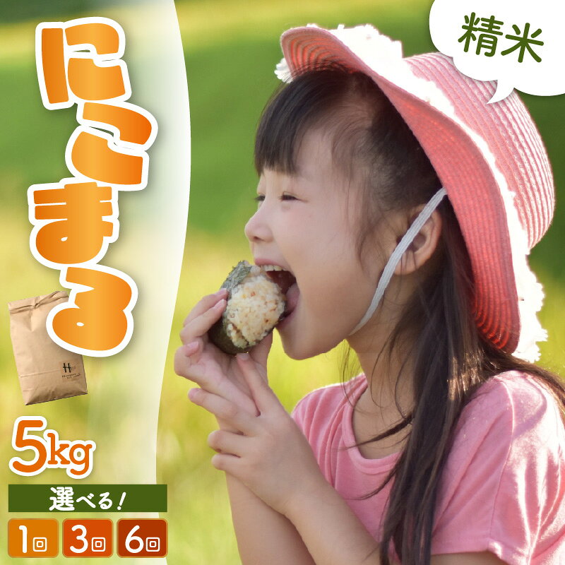 【ふるさと納税】【先行予約】【令和8年産】にこまる 精米 定期便 5kg【選べる回数：1回 / 3回 / 6回 】 ＜食味値85点以上！低農薬栽培＞／ 5キロ 10キロ 高品質 鮮度抜群 福井県 あわら産 白米 お米 米 ※2026年10月中旬より順次発送