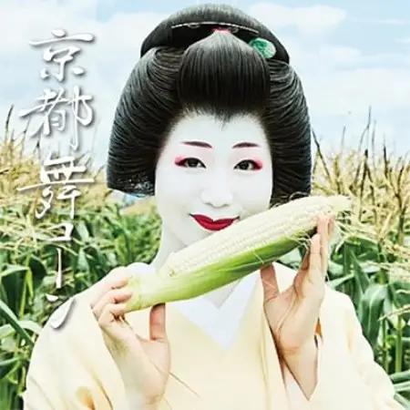 【先行受付】ミシュラン店多数採用!京都産 白いとうもろこし 京都舞コーン 10本 朝採れ【配送不可地域：離島・北海道・沖縄県・東北・九州】【1139225】