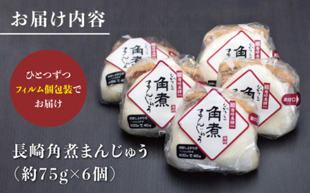 【12回定期便】【これぞ王道】長崎角煮まんじゅう（6個）×12回定期便＜岩崎本舗＞ [CFE013]