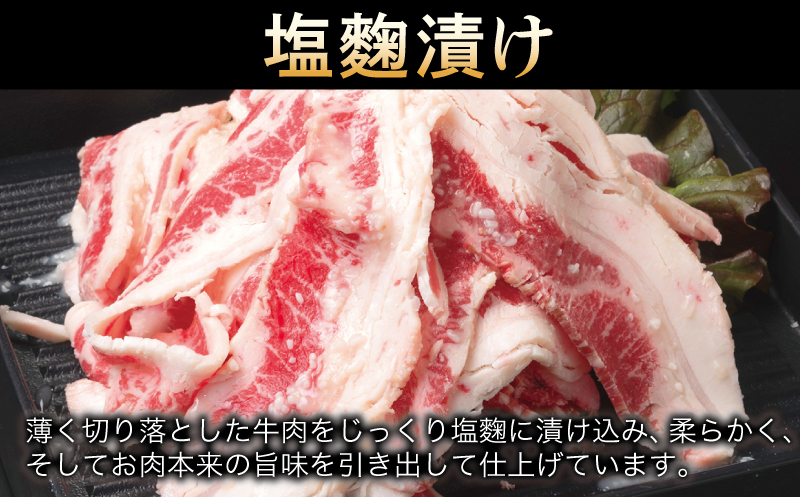 牛肉 切り落とし 塩麹漬け 合計1kg【味付け 小分け 焼くだけ 簡単調理 BBQ 牛肉 250g×4袋】 099H3389_イメージ2