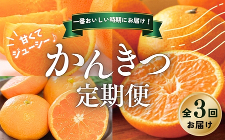 【春秋冬】柑橘 定期便 石本果樹園【全3回】【tkb510】