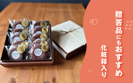 とうふやたかはし おからドーナツ（チョコバナナ味）【10個セット】 [DE008ya]
