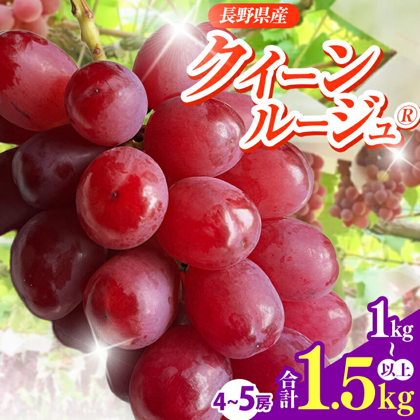 【ふるさと納税】【先行予約】選べる内容量 信州伊那産ぶどう　クイーンルージュ(R) 1.0kg以上 or 1.5kg以上| 果物 フルーツ クイーンルージュ(R) 葡萄 ぶどう 甘い 種無し 長野県 伊那市(014-49)(020-49)