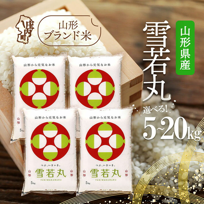 【ふるさと納税】山形県産 雪若丸 選べる内容量！ 5kg / 6kg / 10kg / 15kg / 20kg 令和7年産 2025年産 ブランド米 ふるさと納税 米 山形県