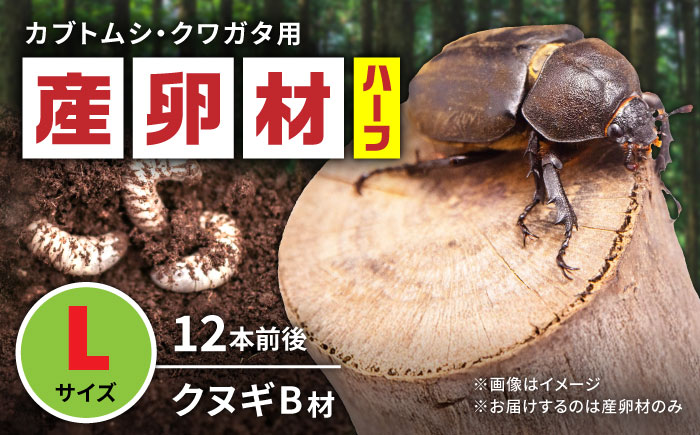 オリジナル産卵材 Lサイズ ハーフ カブトムシ クワガタ クヌギB材 【ふるさと昆虫】 [YDV017]