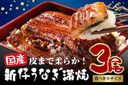やわらか国内産 うなぎ蒲焼 食べ切りサイズ! 100～120g 3尾 計300g以上 ふっくら蒲焼き ブランド鰻使用 秘伝のタレ・山椒付き 湯煎で簡単調理 うな丼 ちらし寿司 贈答用 ギフト 冷蔵配送 国産 茨城県 潮来市 (027-0205)