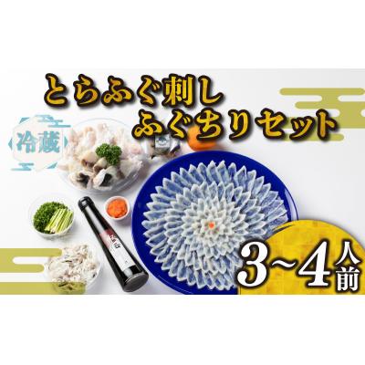 ふるさと納税 下関市 【 お届け指定日 必須 】ふぐ 刺身 ちり セット 3~4人前 冷蔵 BH209