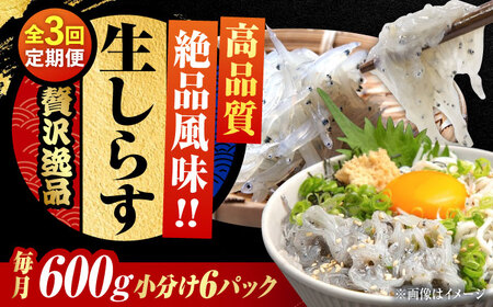 【全3回】冷凍生しらす100g×6個 しらす[XCN020]しらすしらすしらすしらすしらす