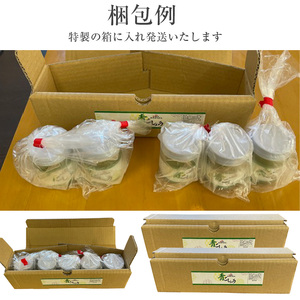 【ふるさと納税】かすがの青こしょう こしょう かすがうどん 約400g 約40g×10個 M760
