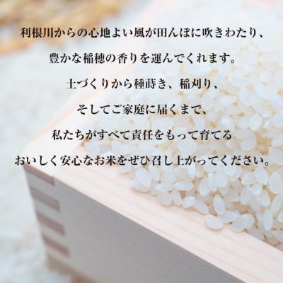 ふるさと納税 稲敷市 【令和7年産・自家栽培・自家精米・農家直送】稲敷市産あきたこまち20kg(5kg×4袋)無洗米 |  | 01