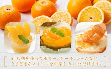 しまの八朔セット約8kg(Mサイズ程度 約30個 紅八朔と八朔)<2026年1月下旬から発送>