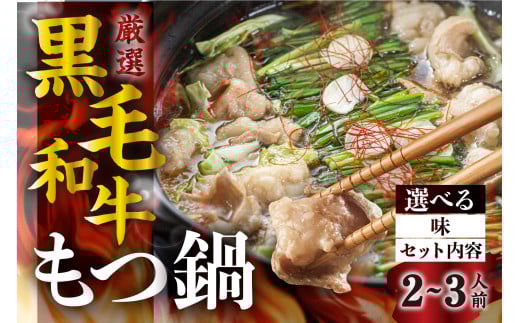《簡易包装》飛騨産 黒毛和牛 もつ鍋セット(2-3人前) ●選べるスープ( 塩 )  鍋の素 牛肉 肉 鍋 なべ モツ もつ ホルモン 選べる セット 国産牛 和牛 冷凍 飛騨市 7000円 7千円 [Q2741]