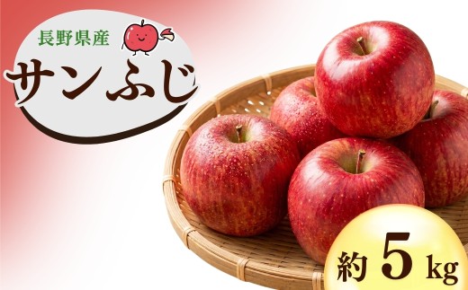 【2026年先行予約】千曲市産 サンふじ りんご 約5kg | サンふじ 林檎 リンゴ アップル 果物 くだもの フルーツ 5キロ お取り寄せ 産地直送 長野県産 信州林檎 信州りんご 信州 長野 千曲市