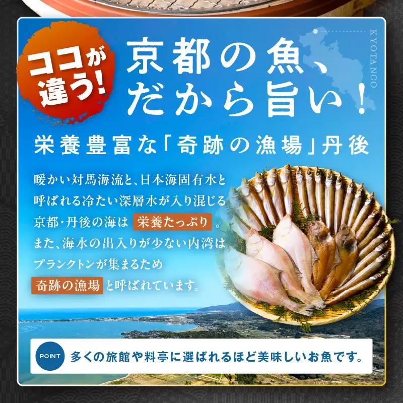 【最短2～5営業日以内に発送】おまかせ干物セット（冷凍） 干物