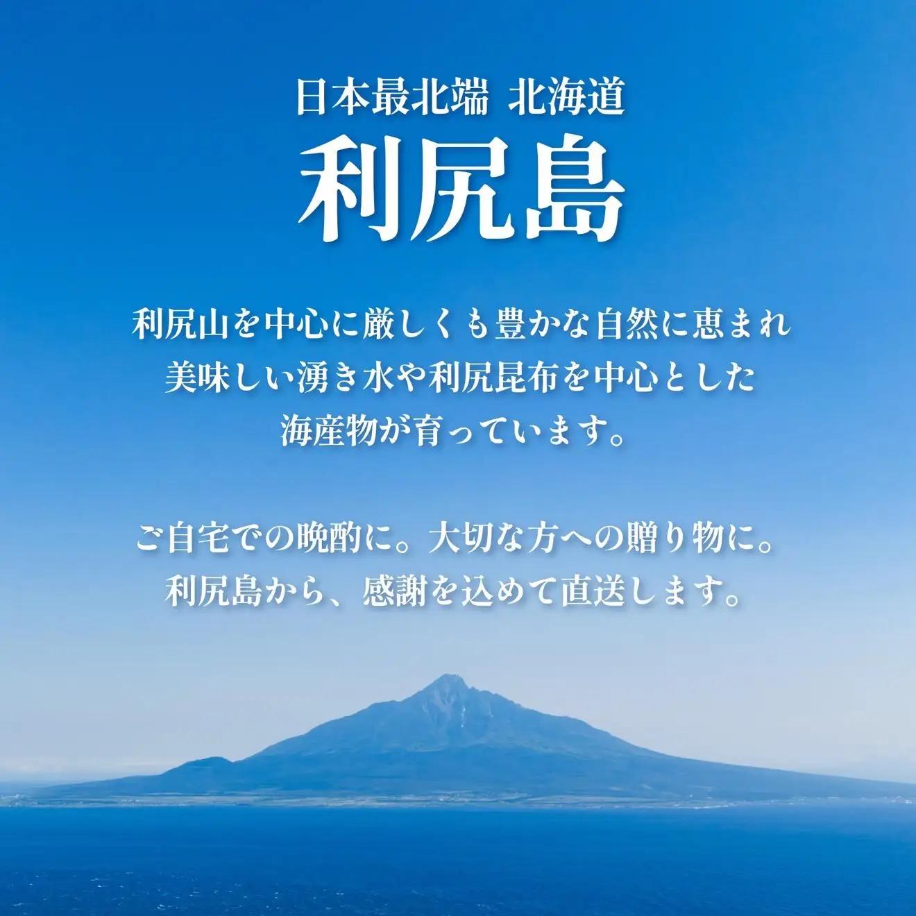 日本酒『麗峰の雫』特別純米酒720ml×3本 利尻麗峰湧水使用｜日本酒 特別純米酒 お酒 北海道 利尻 地酒 国産 [1040007]
