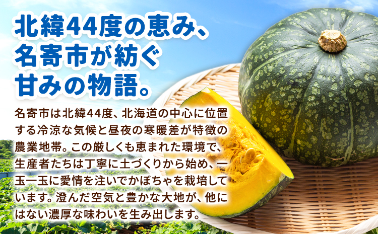 北海道名寄産 かぼちゃ 10kg 5玉～6【2玉北海道 名寄市 野菜 かぼちゃ 南瓜 黄金かぼちゃ先行予約026年10月上旬-10月下旬頃出荷】---nayoro_jdn_5_k10kg---