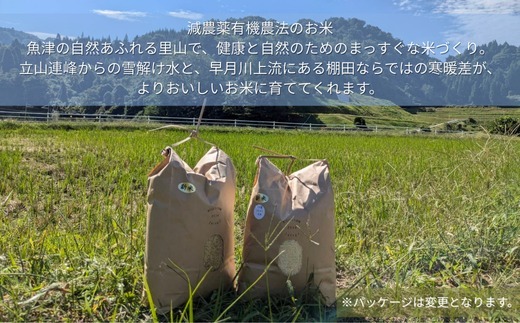 令和8年産 北アルプス棚田米 富富富玄米5kg ※2026年10月～発送