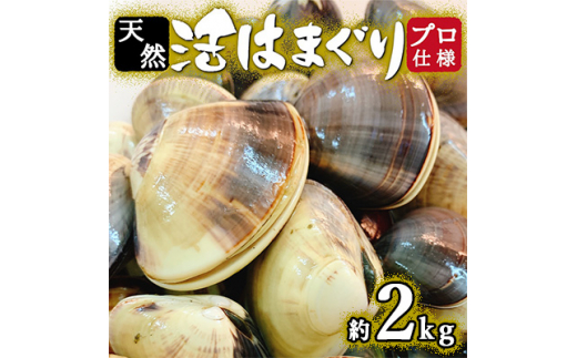 
プロも認める 活はまぐり 国産 天然 約2.0kg 千葉県産 九十九里産 _ 蛤 ハマグリ 魚貝 魚介 海鮮 貝 出汁 だし プロ仕様 人気 送料無料 【1226281】
