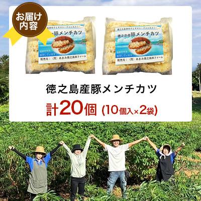ふるさと納税 伊仙町 徳之島産 豚メンチカツ 島唐辛子 ヤマ・シークニン 10個入り×2袋 【絆ファーム】 |  | 03