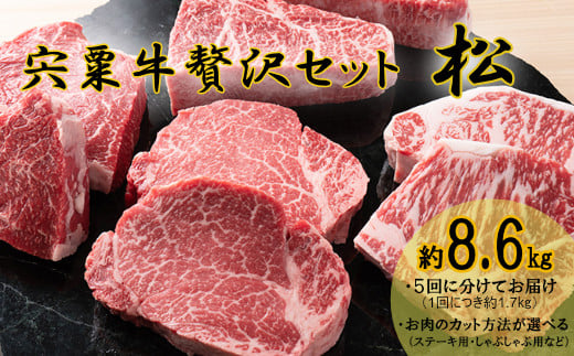 
            F12　宍粟牛贅沢セット【松：8.6kg】　宍粟牛 は 但馬牛 の 血統を受け継いだ 黒毛和牛 　ステーキ もも 焼肉 すき焼き スライス しゃぶしゃぶ 生肉 精肉 ブランド牛 国産牛 贈り物 セット 大容量 定期便
          