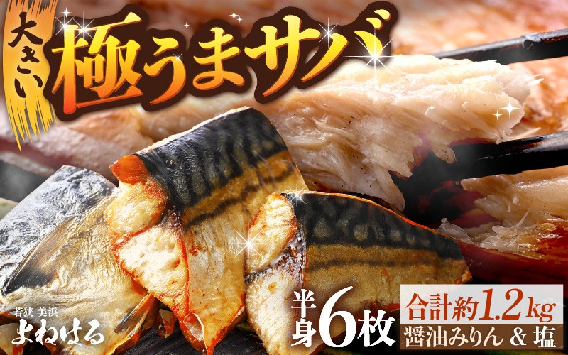 
            干物 鯖一夜干し 極うまサバ 半身6パック （塩味1枚×3パック 醤油みりん味1枚×3パック）【福井 天然 さば 日用 使い ひもの 冷凍 小分け 個包装 真空パック ご飯のお供 酒の肴 食べ比べ セット】[m17-b016]
          