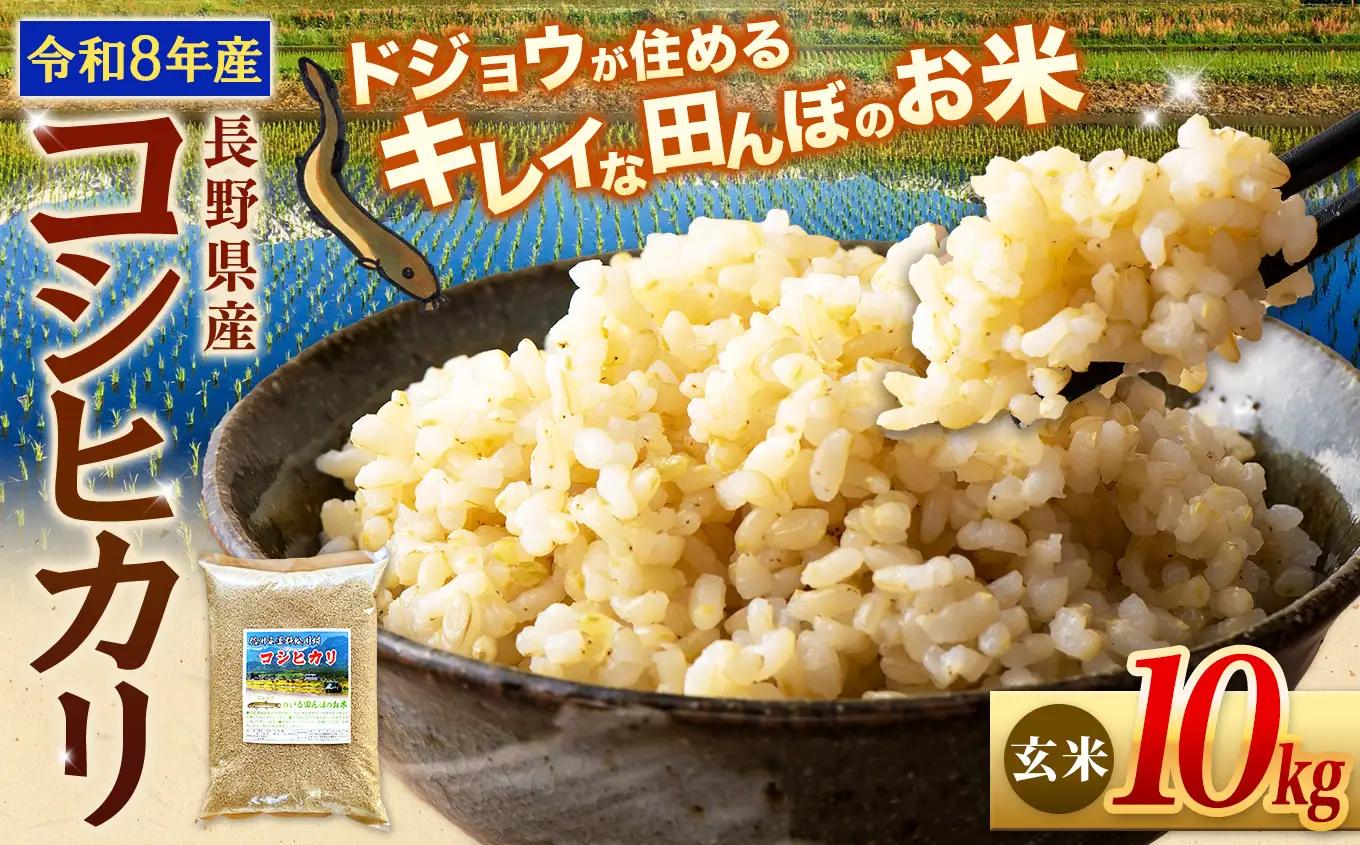 【令和8年産先行予約】『どじょうのいる田んぼのお米』コシヒカリ 玄米 10kg | 馬場農園