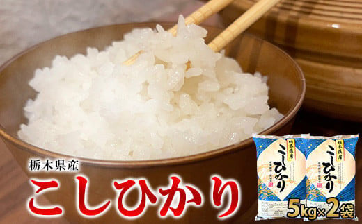 【令和6年産】栃木県産こしひかり10kg（精米・5kg×2袋）　※離島への配送不可