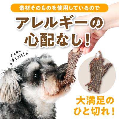 ふるさと納税 八代市 ペット用 馬刺しジャーキー100g  馬肉 ペットフード_212-6543 |  | 03