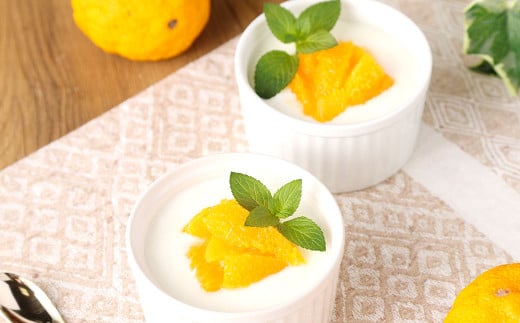 球磨の恵み ヨーグルト 2パック & ドリンクヨーグルト8本 セット