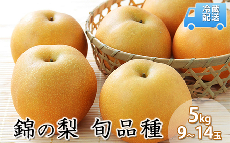 梨 錦の梨 古里農園 錦町産 梨【約5kg 9〜14玉】【先行予約】