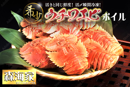 ＜数量限定＞ウチワエビ（ボイル）14匹前後 1000gセット【S247】