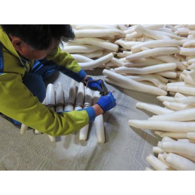 ふるさと納税 湯沢市 いぶり大根漬け　1本漬け×3本　農薬・添加物不使用[B2-2101] |  | 02