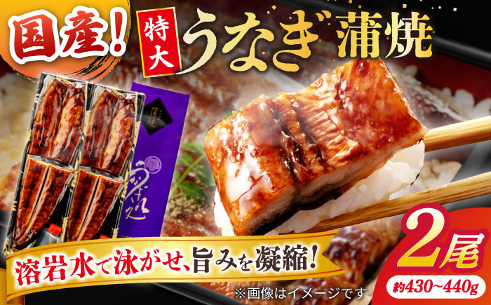 
            うなぎ老舗専門店のパリっとふっくら国産うなぎ 蒲焼2尾(蒲焼のタレ付き) 島根県松江市/株式会社山美世商会 [ALDC001]｜国産 うなぎ ウナギ 鰻 秘伝のタレ 蒲焼き 国産 島根 松江 おすすめ 人気
          